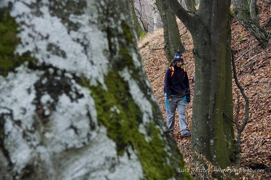 10-TRATTO NEL BOSCO.jpg